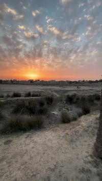 كسيرات • دونم زراعي • سند ٢٥