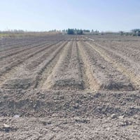 اليوسفية قرب سوق ابو طارق • ٦دونم • خدمات كاملة