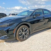 كراون ليمتد • هايبرد • مزاد أمريكي