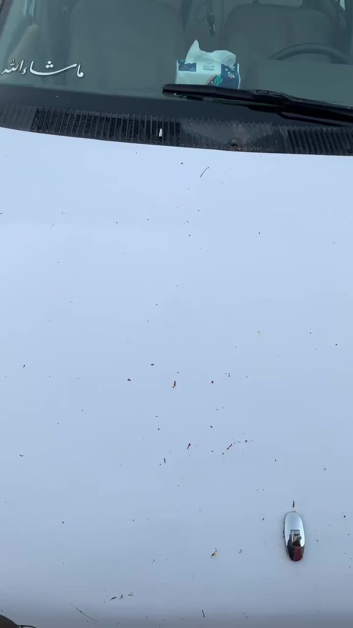 السلام عليكم  للبيع او مراوس حسب القناعه اوبل كاديت موديل 91  محرك 1600  لا تبخير ولا تنقيص رقم انكليزي سنويه لل2030 شواصيها نضيفه اي خياس مابيها تواير جدد باتري جديد شاشه تاب مال كامري كامره خلفيه شغاله اربع سماعات شغاله كاعيتها نضيف سياره بلاديه لا صبغ ولا ضربه 
عارضها  ب26وبيها مجال بسيط مكان السياره القائم قريه سعده  للتواصل ع الخاص او الاتصال ع ***********
