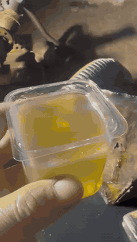 المنتوجات المتوفرة من معملنا  (( مباشرة )) :
أصفر  
احمر 
عسلي
 الكميات الجاهزة للتجهيز :
▪️ 10,000 لتر
▪️ 12,000 لتر
▪️ 14,000 لتر
▪️ 18,000 لتر
تجهيز مباشر من معاملنه الخاصه 
للاتصال
حجي كاظم 
***********
