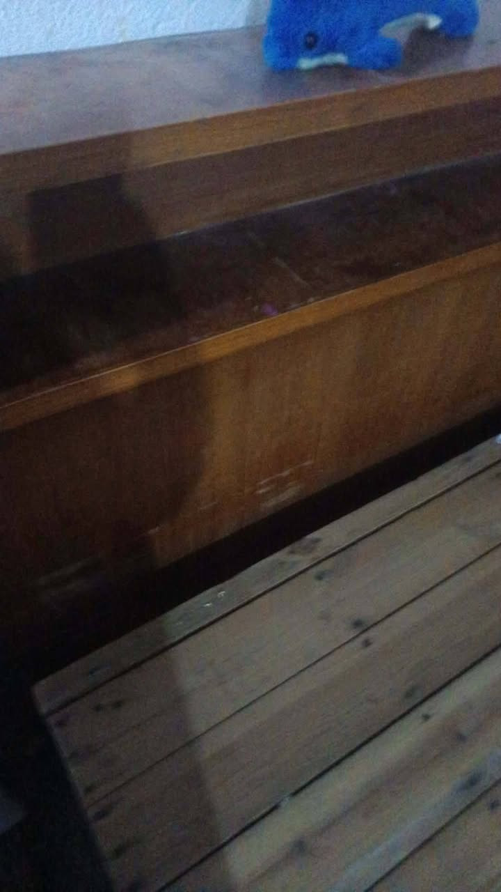 هلو بنات جربايه للبيع نفرين وياه تجواتملاته سعره 30قفل


**إذا كنت صاحب هذا الإعلان وتريد حذفه لأي سبب، رجاءا أرسل رسالة إلى الدعم الفني**