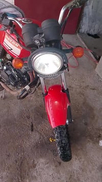 دايون نفخ • ٢٠٠ • مديل ٢٢