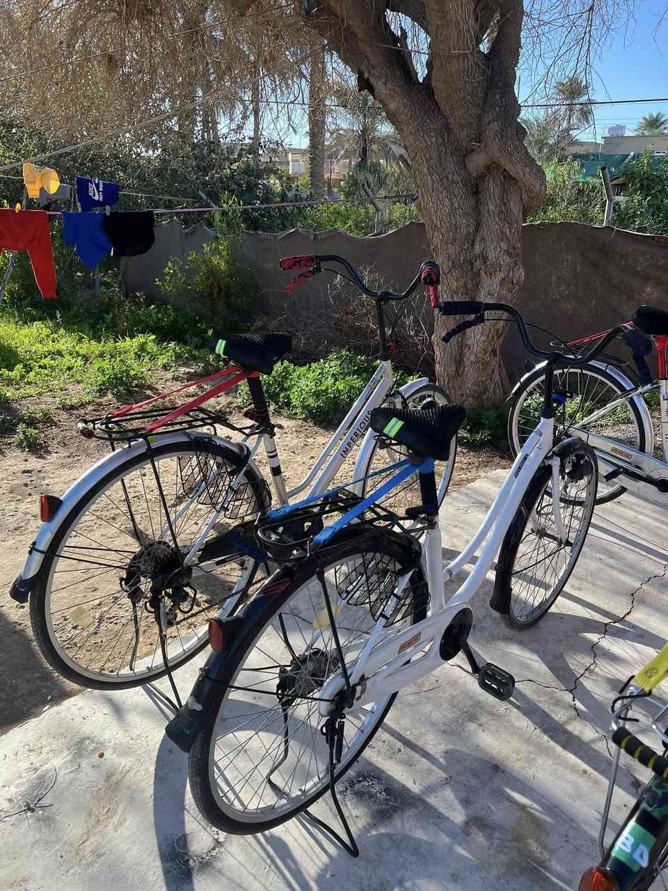 للبيع باسكلات حجم ٢٦واحد حجم ٢٧باسكلات مال حاويه ما مستخدمات ياباني مابيهن نقص بيهن كير حساس سعر واحد ٨٥مكاني شهربان ***********
