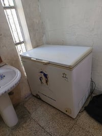 مجمدة • تجميد فول • فلوجه