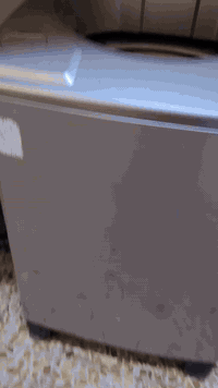 غساله كوريه توماتيك نوعيه دايو ١٥كيلو سعرها ٢٥٠وبيها مجال ٠٧٧٠٥٣٢٧٦١٩