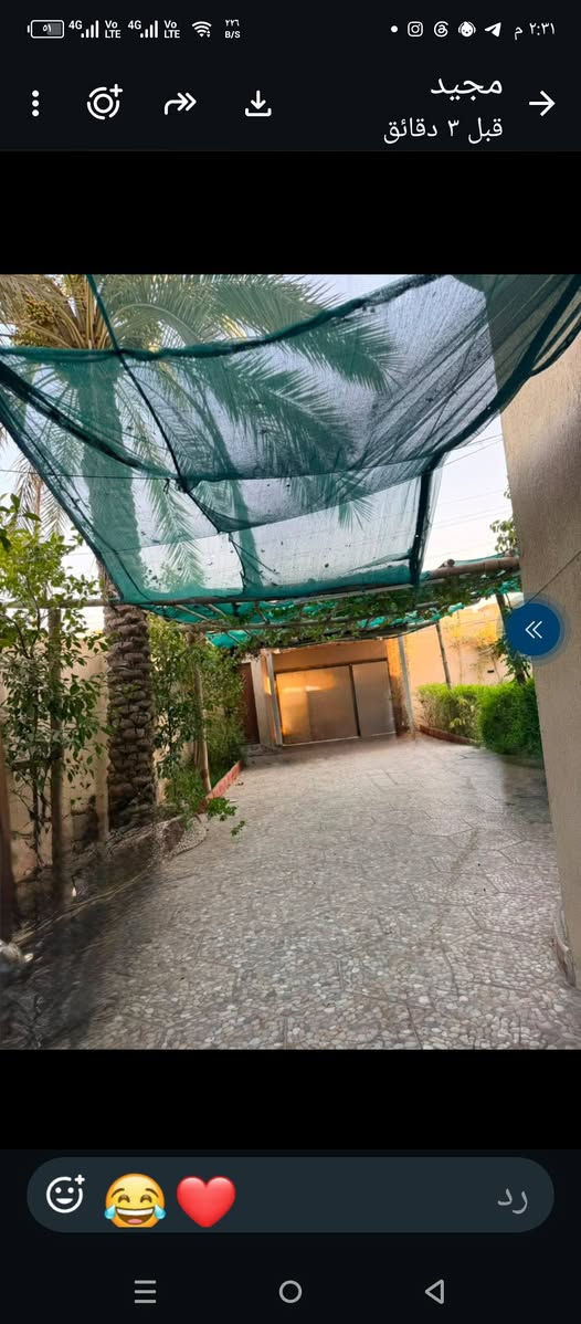 بيت  للبيع او مراوس طابقين ركن بناء حديث طابو صرف سند 25زراعي المساحه٢٧٤م العنوان شارع بني تميم خلف البطاقه الموحده ت. ***********
