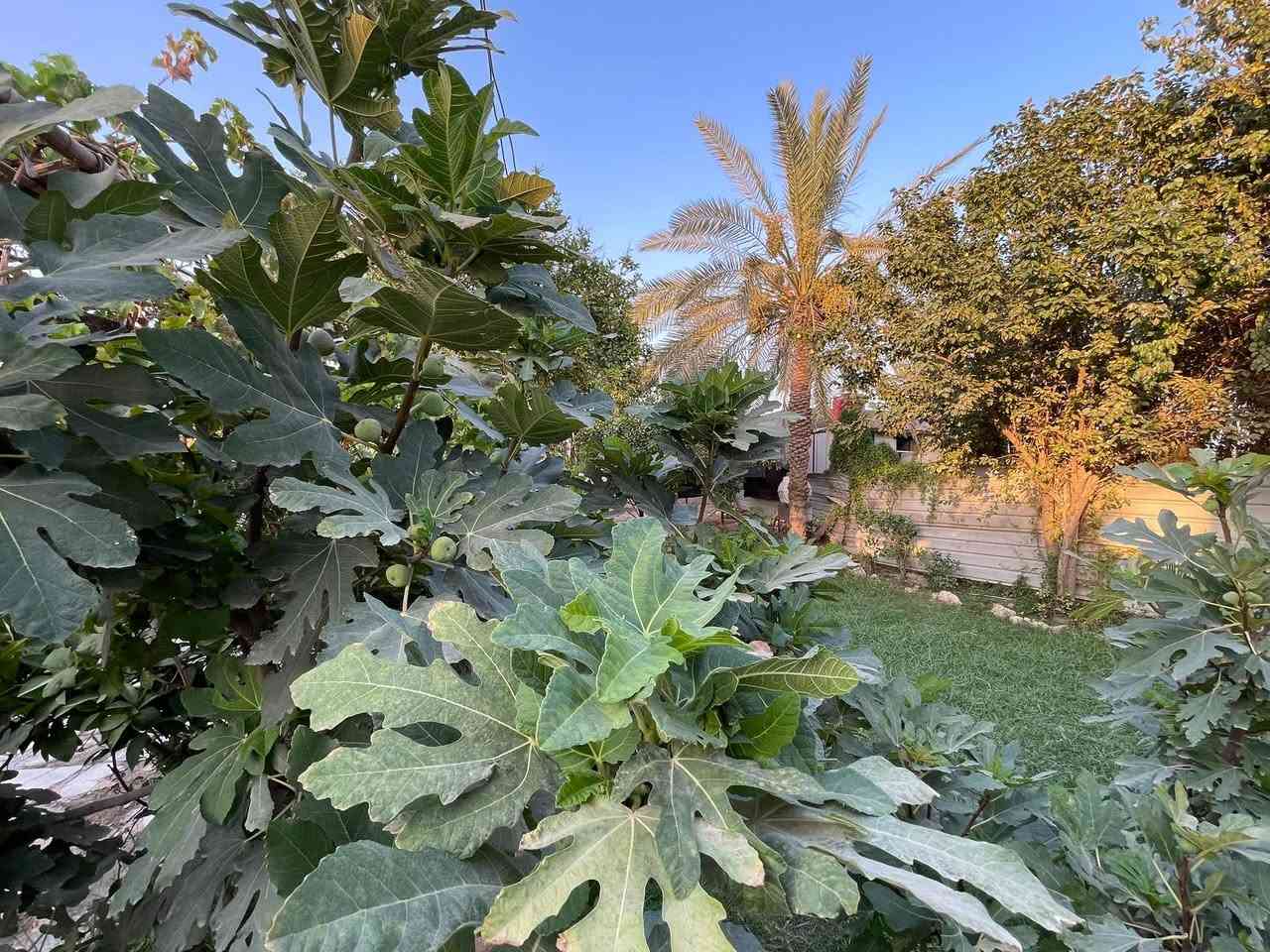 دار للبيع 500 متر طابو زراعي سند 25
كربلاء طويريج الرشيده 
***********
