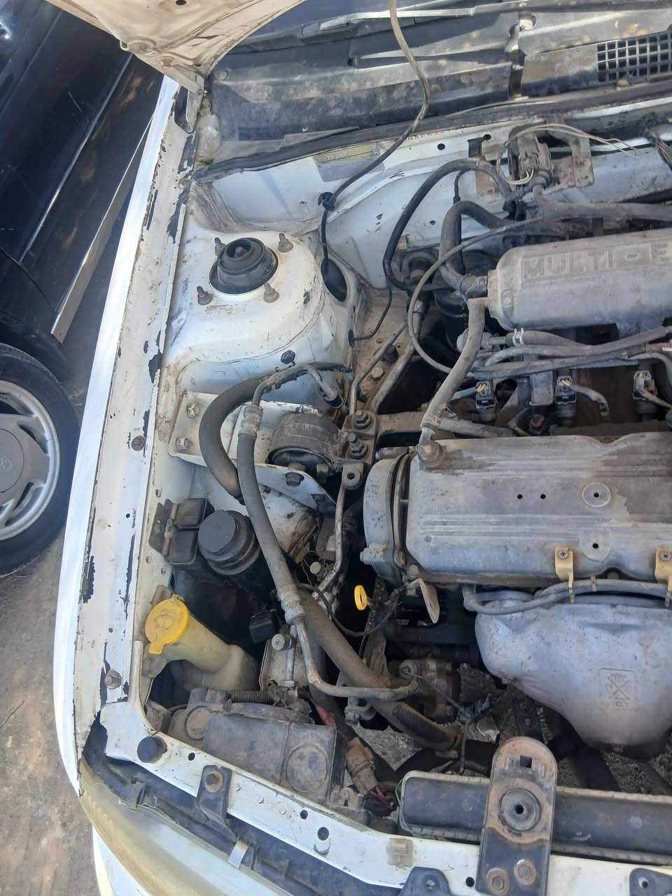السلام عليكم كيا سيفيا موديل 95 گير اوتماتيك گير مكينا زينات السيارة لاضربه ولاكصه صبغ جماليه فقط حداديه زينه السعر 35بيها مجال مكان السيارة واسط الصويرة رقم الهاتف ***********
