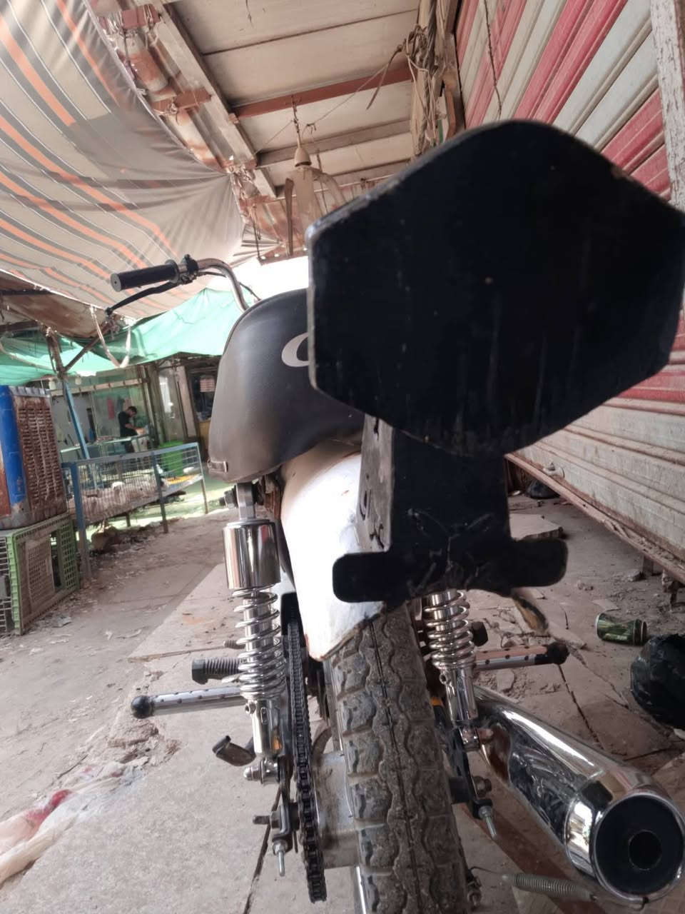 راسطه باكستانيه عوزه صبغ قيم وخذ


**إذا كنت صاحب هذا الإعلان وتريد حذفه لأي سبب، رجاءا أرسل رسالة إلى الدعم الفني**