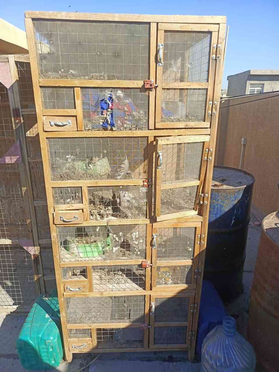 السلام عليكم قفاصة للبيع المكان الغزالية 
الاتصال للاستفسار على الرقم 
***********
