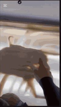 إبتسامةاطفالنا كنز لايقدر بثمن روضة وحضانة العسل الأهلية للأستفسار الا...