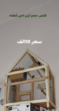 ديكور منزلي • اكسسوارات • مستلزمات ديكور