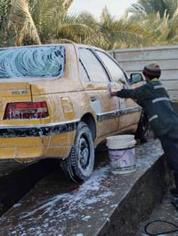 بيجو روئ • ٢٠١٦ • قابل بدل