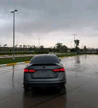 بكلايت التيما • ٣ اشكال • كركوك