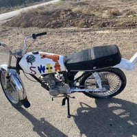 موديل 17 • بدون أوراق • ديالى كنعان