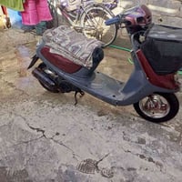 دراجة منغولي • كربلاء • قرب محطة القادسية