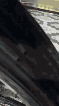 سلام عليكم دراجه سيفان للبيع موديل 24 كفاله عامه كهربائيات كله شغاله دشبول عرض فيديو كله وضع شركه اوراق بغداد مكان واسط العزيزيه السعر اتصل ودلل ***********
