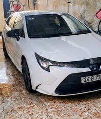 هايبرد • ٢٠٢٤ • مرقمة البصرة