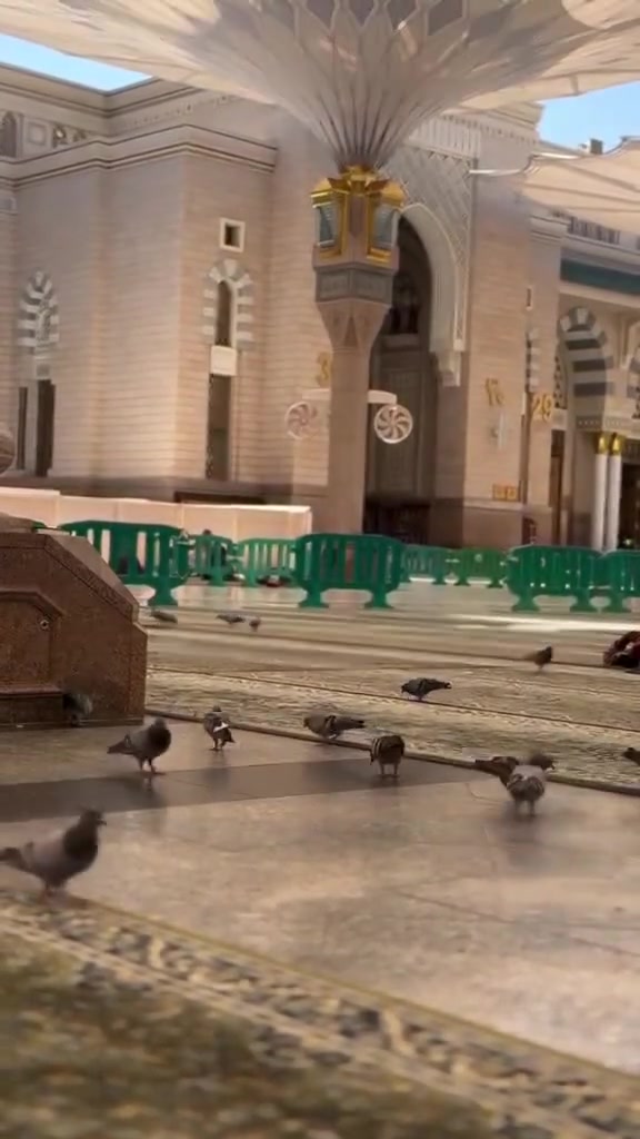 🕋 على بركة الله نعلن عن برامج منوعة 🕋 
       🕌  افضل البرامج والخدمات  🕌
        💥 اختار البرنامج الي يعجبك 💥      
                 البـر  🚌    الجـو   ✈️
          خـدمـة المعتمر شــرف لنــا  
تفـرغ للـعبـاده واتـرك لنا شــرف خدمتكم
                🌸  بأدارة  الحاجة  🌸
🕊️ ام مصطفى البندقجي للحج والعمرة 🕊️
  
  بـرامـج  البـر   🚌
1- السكـن  :-  محبـس الجـن 
السعـر  :-  500 $ دولار 
الفنـدق :- اركـان بكـة – ميسان المحبـس –اصيـل المسـك 
تاريخ :- الرحلة  16 /7 
——————————
2 - السكـن :-  اجيـاد السـد 
فنـدق :-  واحـة الضيـافة 
السعـر :- 550 $ دولار 
تاريخ :- الرحلة  17 /7 
———————————
3 - السكـن :-  شـارع  اجيـاد 
فنـدق :- ابـراج المرديـان 
السعـر :- 875 دينار عراقي 
تاريخ :-  الرحلة 15 / 7 
————————————
  بـرامـج  الجـو  ✈️
1- السـكن :-  اجـياد السـد 
فنـدق :- واحـة الضيـافة
السعـر :-1000 $ دولار 
تـاريخ :- الرحلة  16 /7 
——————————
2- السـكن :- شـارع اجيـاد 
الفنـدق :- ابـراج المرديـان 
السعـر :- 1100$ دولار 
تـاريخ :- الرحلة 15 /7 
———————————
3- السكـن :- شـارع اجيـاد 
الفنـدق :-  لمار اجيـاد 
السعـر :- 1000$ دولار 
تاريـخ :- الرحلة  17 /7  :  27 / 7 
———————————————
كـل البـرامج  البـر والجـو  شـامل وجـبتيـن طـعـام  🍽️
ســـارعــوو  بتســليم جـــوازاتــكم وحجــز مقــاعــدكم لـرحلة ايـمانية وخـدمات ممتـازة تلـيق لـضيوف الرحـمن 
—————————————
للستفسار  يرجى  الاتصال  بنا او المراسلة على  الارقام  👇WhatsApp📞
‏ ‭***********‬ 📲
***********
 الوكيلة الحاجة : ام مصطفى البندقجي
