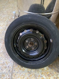 تخم ويل وتاير • حجم ١٦ • النترا سيراتو فورتي كورولا