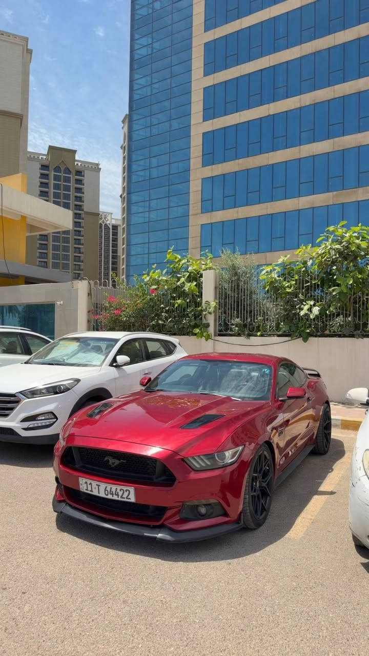 موستنك 5.0 - GT  بريميوم فول مواصفات  موديل 2015 

رقم شبه مميز 64422

حجم المحرك 5000  / V8
ممشى 75 ألف فقط كلين (حادث دعامية فقط) بدون ايرباك– بدون صبغ – بدون تبديل

ملاحظة بسيطة: بارد بالهلال مال جاملغ سونار بالمنشور 

سيارة جداً  نظيفة مكينة وكير واكسل كفاله على وضع الشركة 

فل مواصفات (Premium Full): 
تشغيل عن بعد 
– كشنات ميموري 
– إنارة ترحيب 
– رادار نقطة عمياء
_ دشبول  7 ألوان
 – شاشة SYNC كبيرة 
– دمام بالصندوك
_كشنات تبريد \ تدفئة
 – مودات قيادة \ ستيرن

الحالة: الصدر الأمامي والخلفي الأذاين مبدلات جدد تايرات جديدة اطلس من احمد ورمزي – السيارة ما محتاجة شي تجي وتشوفها

الإضافات \: دبات Borla أصلية قفايص X-pipe 3 إنج داون بايب برمجة وتفريغ

ويل Vossen HF-5 أصلي توسايز لويات Eibach

فجوج 6 بستم \ فلنجات كبار

Strut Bar GT

بوابات صوت (تفتح/تغلق)

الإكسسوارات:

لحية Cervini – دفيوزر Shelby

باك لايت سموك – إشارات LED لدات دعامية \ دفيوزر حلوك دبل – شفتات ستيرن

مكان السياره بغداد حي الجامعه 

***********
