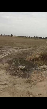 قرب جسر سبع البور • ٥ دونم • طابو تحويل مباشر