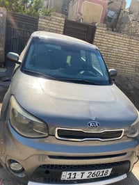 سول • ٢٠١٦ • ضرر