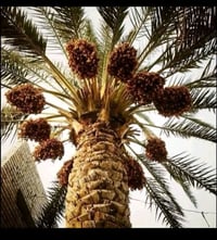 الكاظميه الطائيين • ٦٤٠م • ٣غرف