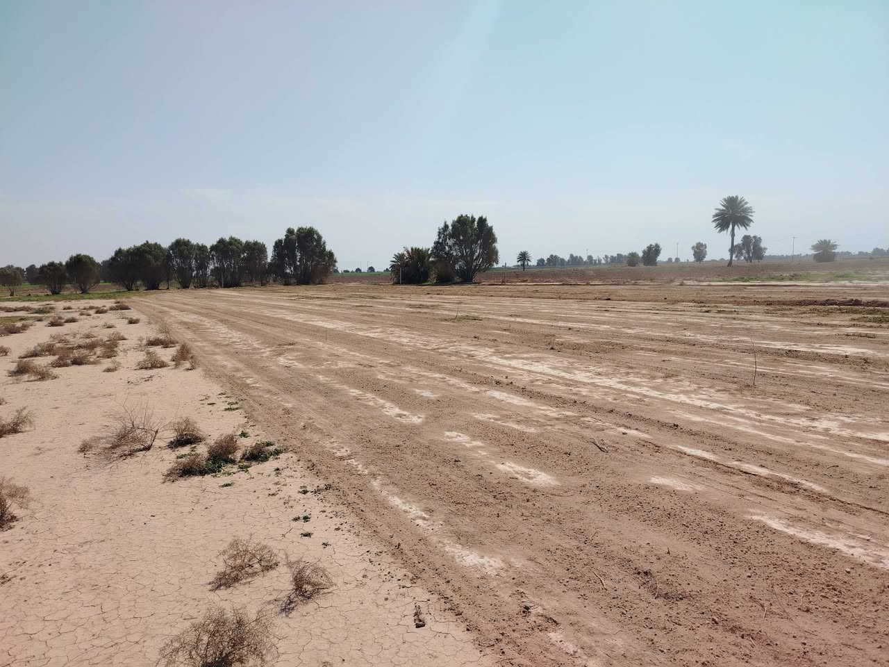 قطعة أرض للبيع المساحه ٢دونم طابو زراعي سند ٢٥ المكان طريق مسعده بالقرب من محلات الحسين الإبراهيم للاستفسار الاتصال على الرقم التالي ***********
