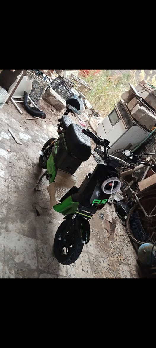 🔴🔴بدون بطاريات بدون بطاريات بدون بطاريات r9للبيع او مراوس حسب القناعه مابيه اي نقص فقط البطاريات دراجه جاهزة من كلشي مابيه نقص برغي خمسة بطاريات السعر 300


**إذا كنت صاحب هذا الإعلان وتريد حذفه لأي سبب، رجاءا أرسل رسالة إلى الدعم الفني**