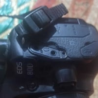 كاميرا كانون 80D • عدسة 50مم • مكاني كوت فلاحيه