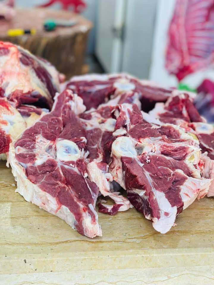 تم استفتاح مطعم قرب ملعب الجوهره كباب غنم تكه لحم كلب معاك جلاوي كباب دجاج تكه دجاج للحم شرح لحم مثروم شقل عراقي درجه اولئ


**إذا كنت صاحب هذا الإعلان وتريد حذفه لأي سبب، رجاءا أرسل رسالة إلى الدعم الفني**