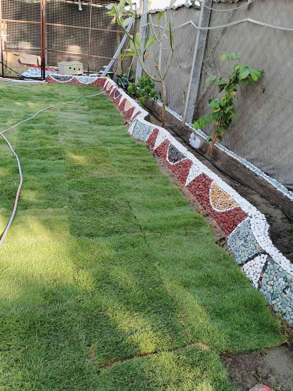 حسن لديكور***********
🍃مستـعدون🍂 ، لـترتيب🐦 الحدائق المنزلية 🏝️🏘️
وزراعة النباتات، 🌾🌴🌱والازهار، 🌼🌺🌻وقص الثيل.🌾🌾
وعمل الديكورات والتصاميم،الحديثة للحدائق،، بواسطة الاحجار الملونة 
ونعمل على تصميم الشلالات 💦والنافورات
