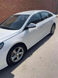 ٢٠٢١ • كفالة • فول مواصفات