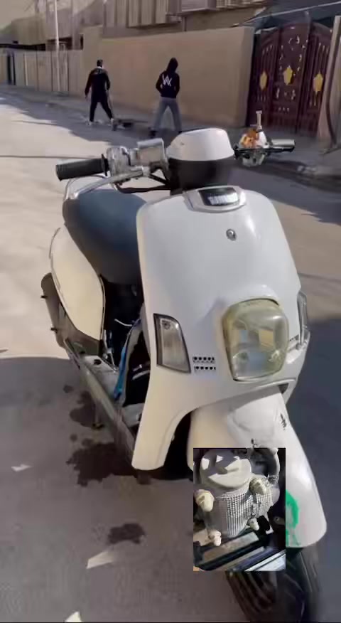سلام عليكم دراجه ماكس بوليس نوزل للبيع الدراجه محتاج فلوس واريد ابيعه نضافتها مثل ماشوفون بالفيدو دراجه نضيفه الله شاهد شوكت متريدها نكره سلف رايدها ٧٠٠ وبيها مجال للطيبين تواصل واتساب فقط ***********
