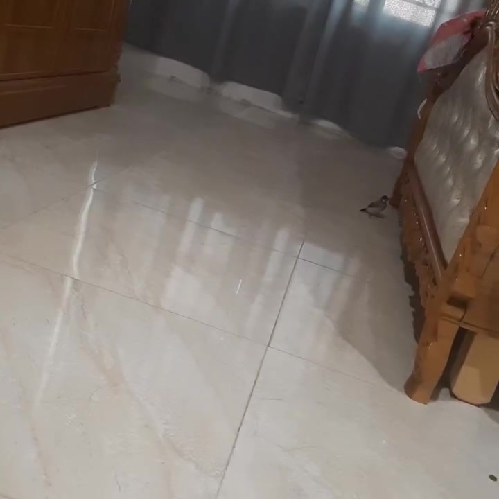 السلام عليكم متاح بلابل للبيع  المحموديه


**إذا كنت صاحب هذا الإعلان وتريد حذفه لأي سبب، رجاءا أرسل رسالة إلى الدعم الفني**