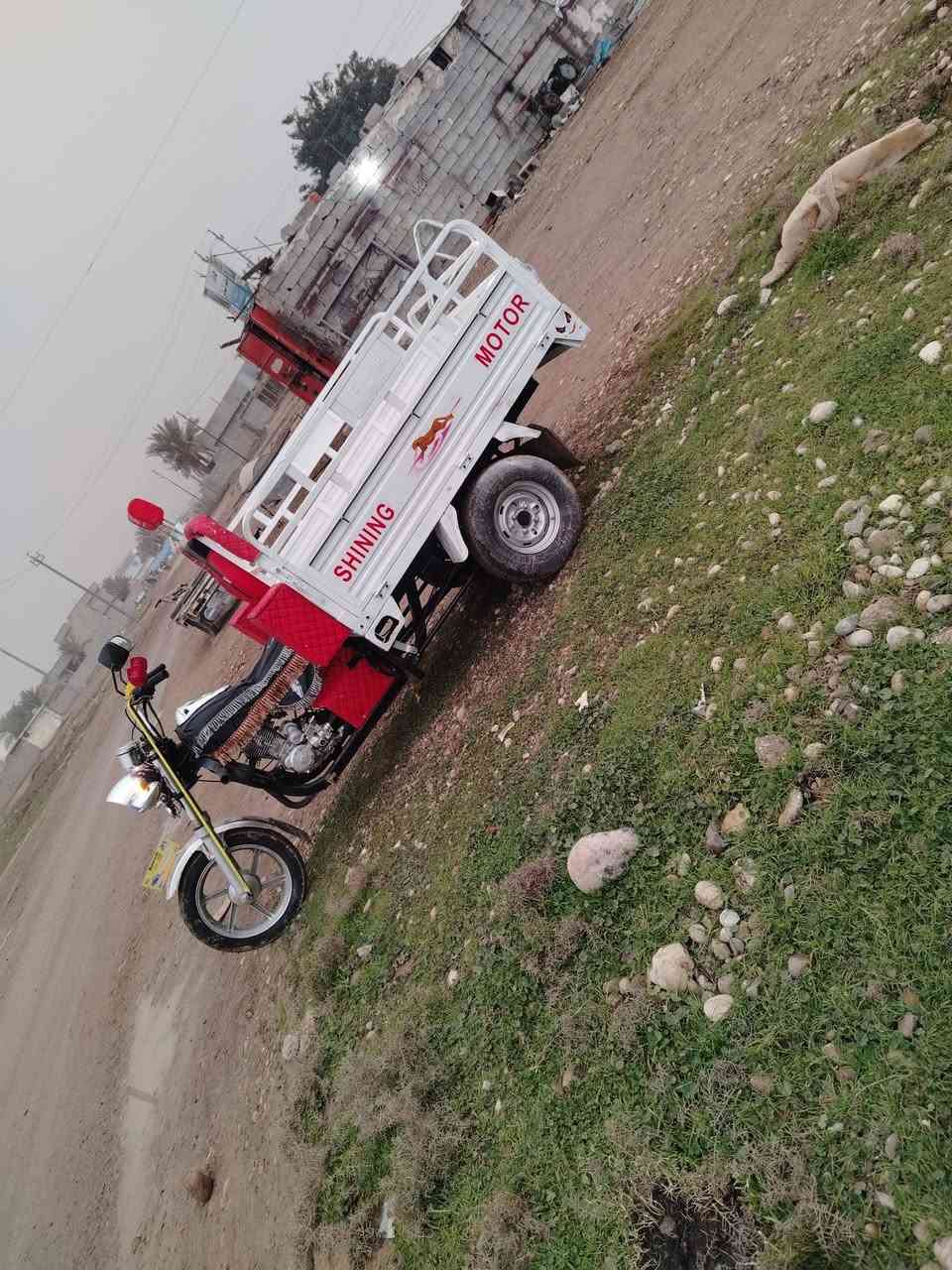 ستوته البيع موديل ٢١ كله عل شرط مكان سليمان بيك منفس موجود ***********
