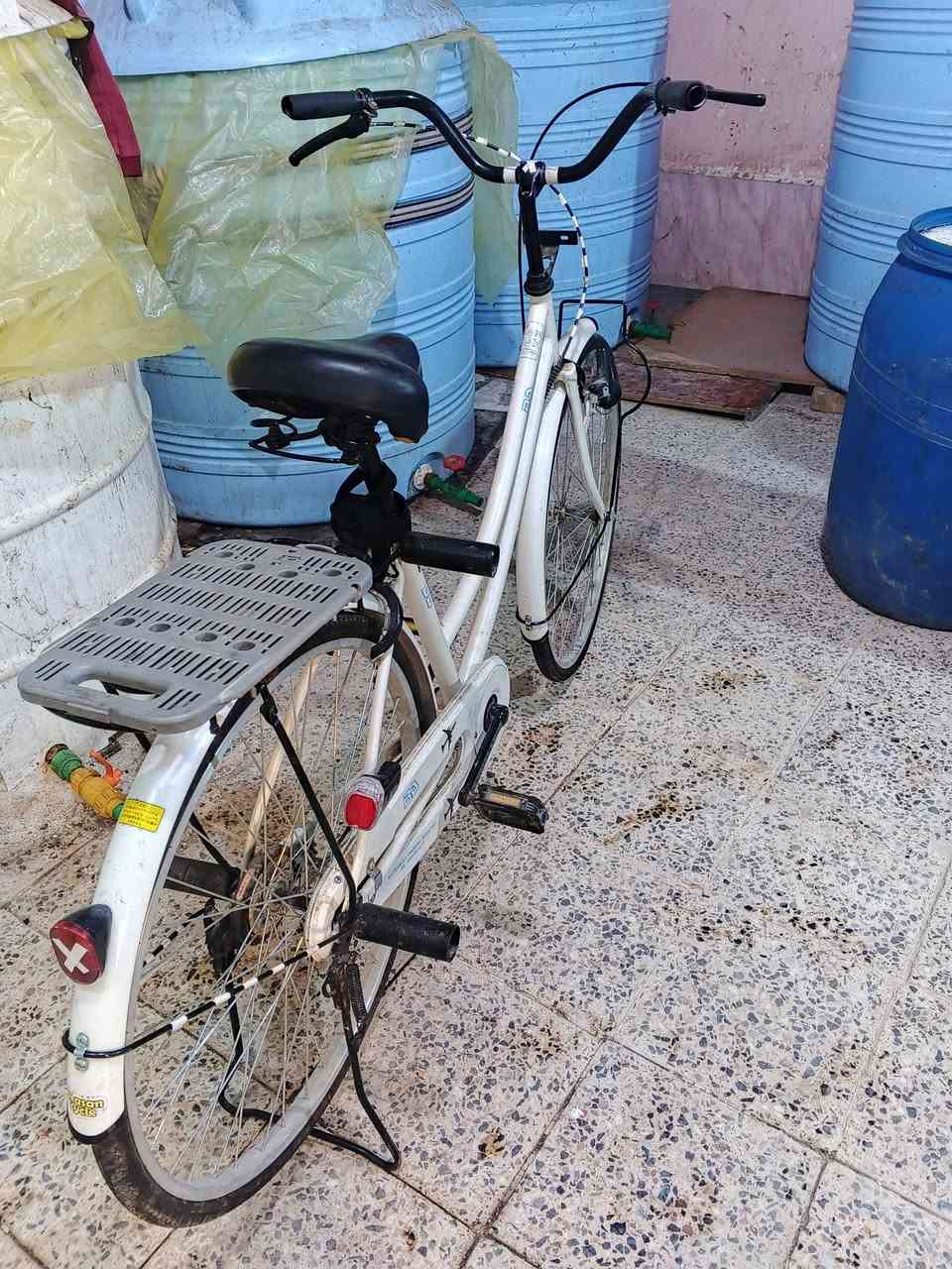 باسكل البيع فول نضافه ياباني شرط حجم 26 السعر 150مكان شارع الكص


**إذا كنت صاحب هذا الإعلان وتريد حذفه لأي سبب، رجاءا أرسل رسالة إلى الدعم الفني**