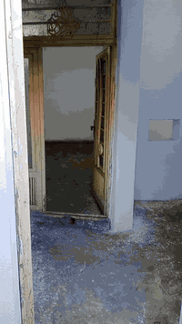 مكلف للنشر
مشتمل للايجار كربلاء الحر
***********
