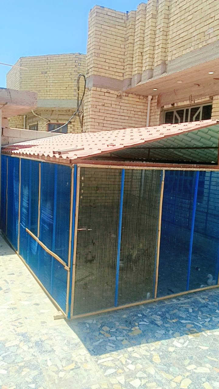 قفص للبيع العرض 3.500
ارتفاع 150
الطول 4.80
العنوان بغداد حي البتول قرب الجسر الفرنسي 
***********
