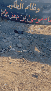 ‏سلام عليكم قطعة 50 متر للبيع الاستفسار ***********
