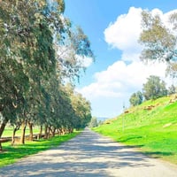 الكندي الثانية • ١٠٠م • واجهة ١١م