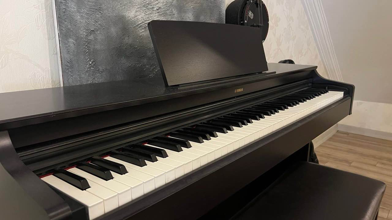 تایبەت بە فێرخوازان و پیشەییەکان. دەنگ و هەستەکەی زۆر نزیکە لە پیانۆی ڕاستەقینە.

تایبەتمەندیەکان:
• ٨٨ کلیل بە کێشی ڕاستەقینە
• دەنگی ڕاستەقینەی Yamaha
• ٣ پێدال
• کورسی Yamaha لەگەڵیدا
• زۆر پاک و بە باشی پارێزراوە
• بە تەواوی کاردەکات

شوێن: هەولێر أربيل, العراق


**إذا كنت صاحب هذا الإعلان وتريد حذفه لأي سبب، رجاءا أرسل رسالة إلى الدعم الفني**