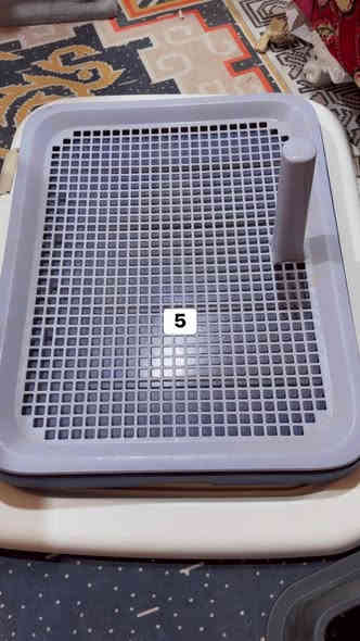 الحجز واتساب***********
