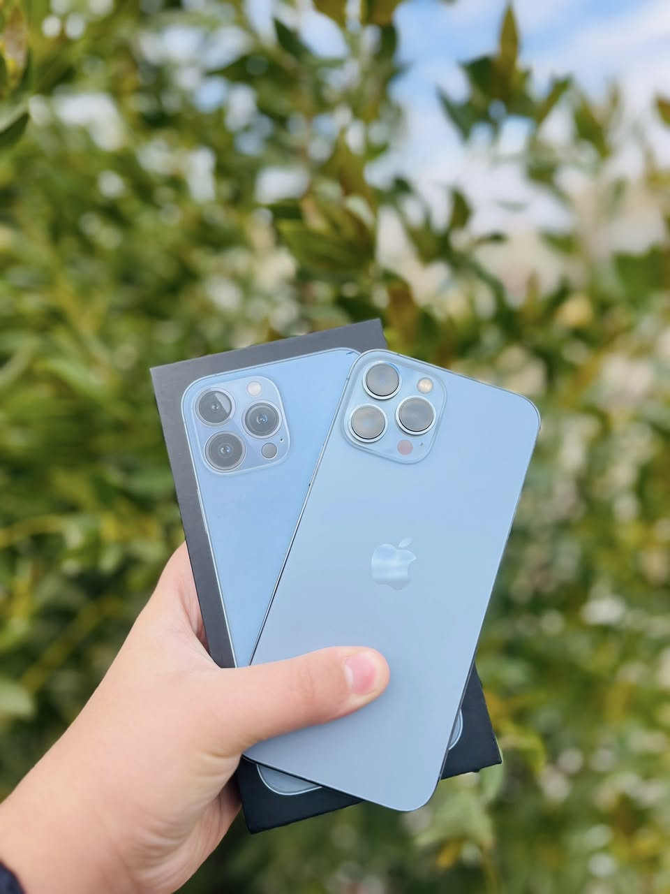 السلام عليكم
آيفون 13 برو ماكس 
ذاكره 256
بطاريه 85 
كفاله عامه شرط تفحص يالله تاخذه 
نموذج M عربي شرق اوسط 
نضافه 100/100 
لون بحري مميز 
دبل سيم كارت 
ملحقاته كارتونه وكيبل الأصليات 
للاستفسار اكثر خاص أو لاتصال علا رقم الهاتف 
                                                                      ***********
