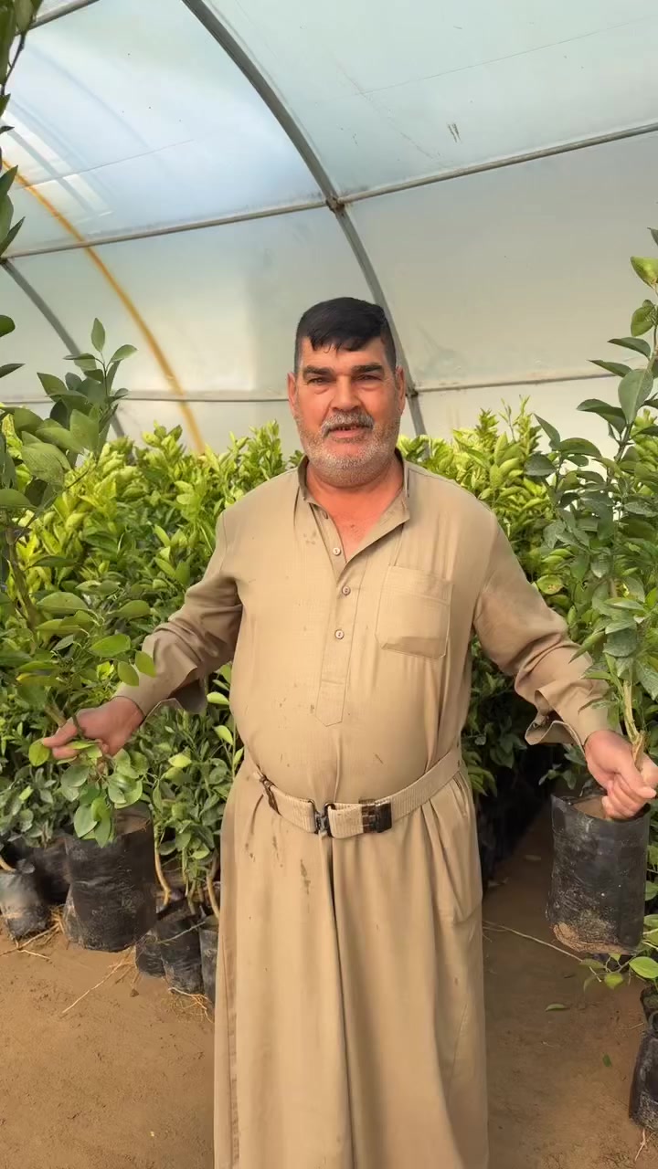 ابو احمد الطيب العنوان ديالى شهربان


**إذا كنت صاحب هذا الإعلان وتريد حذفه لأي سبب، رجاءا أرسل رسالة إلى الدعم الفني**