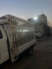 محجر فحل للبيع جديد اي احساس مابي مال حلال بي ثلث شبجات مكان بغداد شعب...
