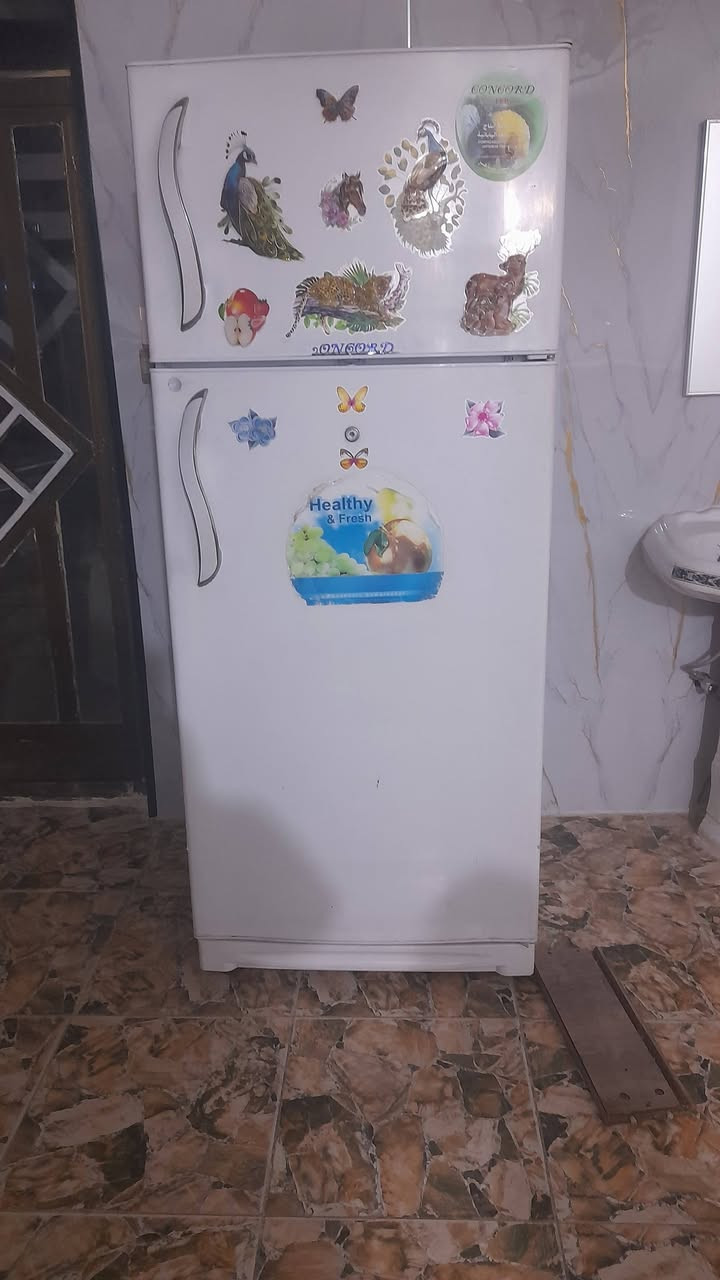 ثلاجه للبيع ٢٤ قدم السعر ٣٥٠ مكان زعفرانيه


**إذا كنت صاحب هذا الإعلان وتريد حذفه لأي سبب، رجاءا أرسل رسالة إلى الدعم الفني**