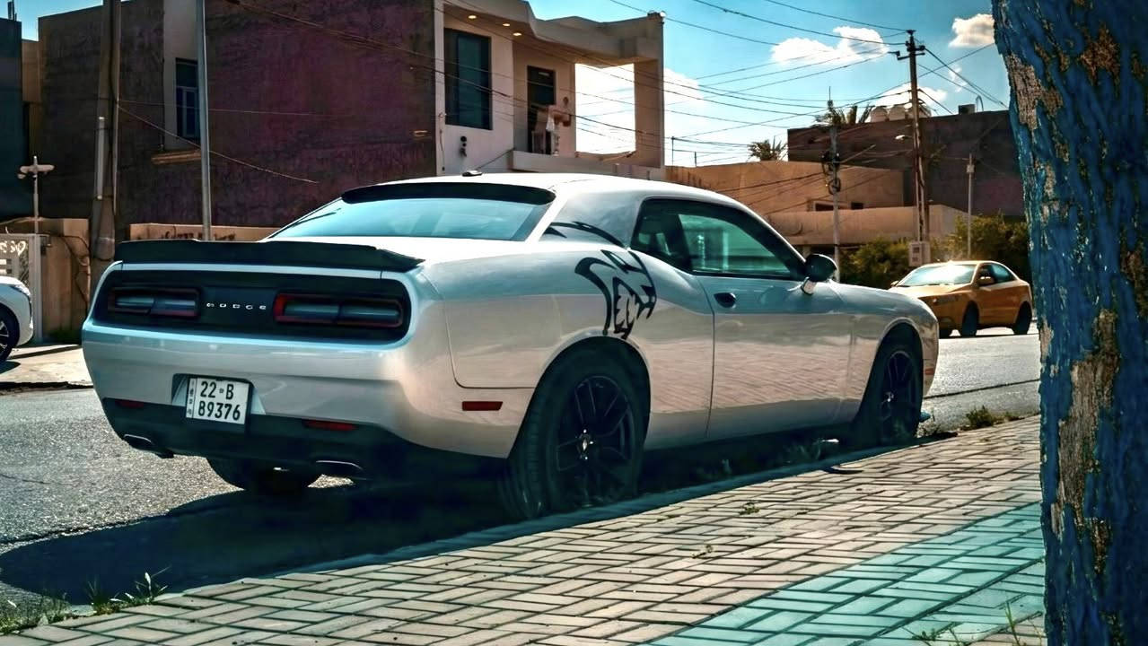 السلام عليكم 
🛑 للبيع فقط 🛑 
 
دوج چالنجر SXT
موديل ٢٠٢٢
مكينة ٣٦٠٠ 
٦ سلندر 
تو ويل (RWD)
رقم اربيل الدولي بإسمي ( تحويل فقط ماسوي وكالة ) 
مواصفات الsxt المعروفة مضيوف عليها
شاشة كبيرة 
دواخل كاربون فايبر 
مري جانبية كاربون فايبر 
شفقة خلفية
بنيد و وياله محدثه مال GT
تعتيم ذاتي للمراية الوسطية
كاميرا خلفية دوارة
هيتر مري جانبية
تبريد قطعتين مناخ منفصل
فول تحكم ستيرن
بصمة + تشغيل عن بعد
كرسي السائق كهربائي 
ويل ٢٠  تو سايز مع تخم تاير جديد 
حجر بيئة بلادي
داخل جلد لونين
گير و مكينة و تبريد و حدادية و كهربائيات مكفولات

سيارة عليها برمجة مراوح و تحسين اداء و تشتغل على بانزين عادي و محسن بدون دوانز علماً اني ادير بس محسن و دهن درجة اولى نوع (meguin) 

ماشية ٣٥ الف ميل 
سيارة نظيفة و ما متعوبة مال جناي 

السيارة حادثها قطعة وحدة صبغ 
البنيد مبدل و مصبوغ فقط و الچاملغات الامامية بيها تعديل بارد و تكحيل شي قليل بالحواف

 اي قطعة كلير من امريكا ماكو

راس الشاصي الايمن بي تعديل بسيط كلش مكفول من الگص فقط مسحوب شي قليل و تصليح بالفخذه مال چاملغ نفس الجهة

شباب المنشور كلش واضح و مفصل و ما اقطع سعر بالتلفون تجي تشوف و نتفق و الله يقدم البي خير 

عنواني بغداد / الكرادة ساحة الواثق 

السعر 186 بي مجال بسيط

للتواصل *********** متوفر واتساب
